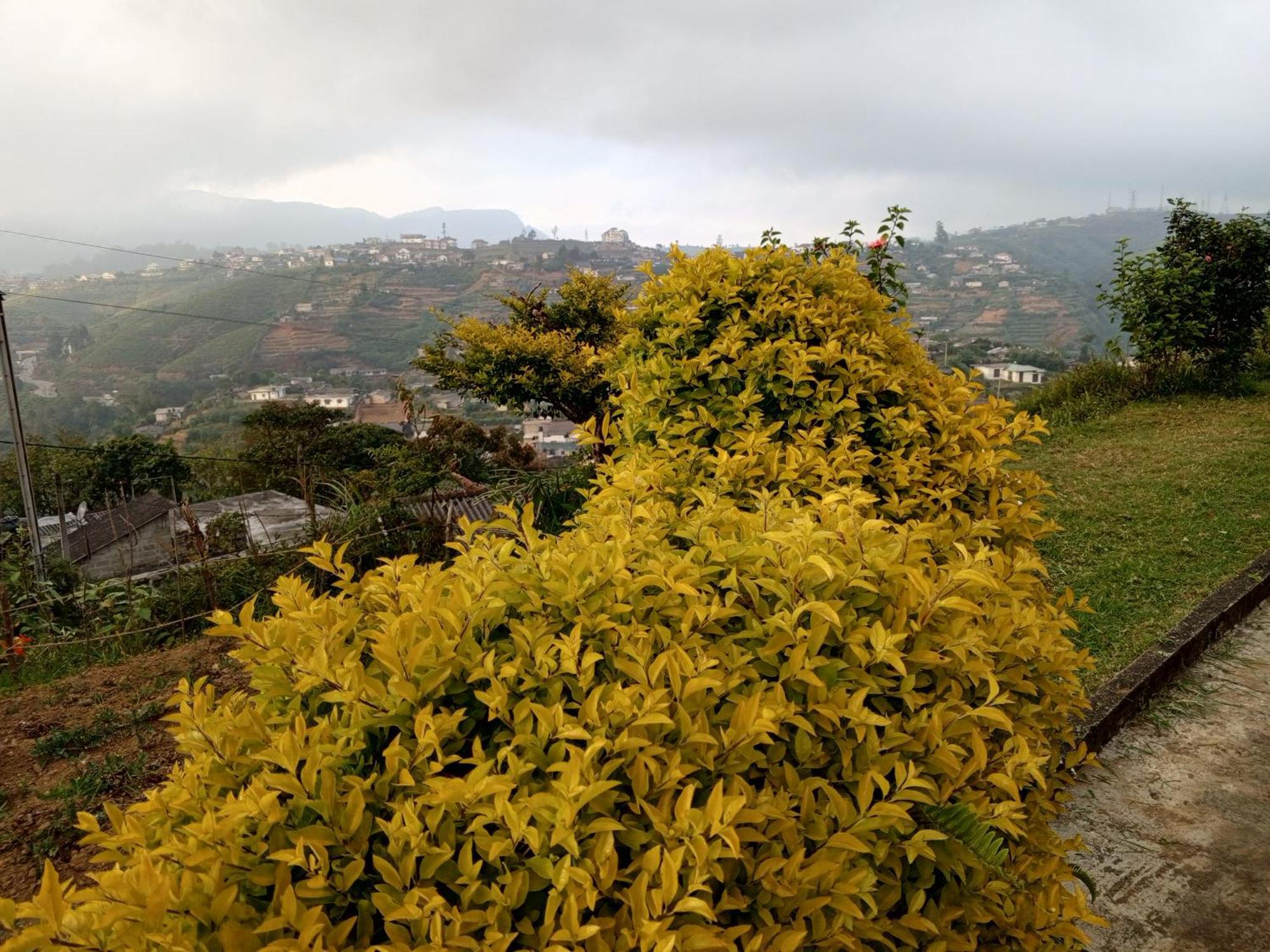 نوفارا إيلِيا Mount View Cottage المظهر الخارجي الصورة