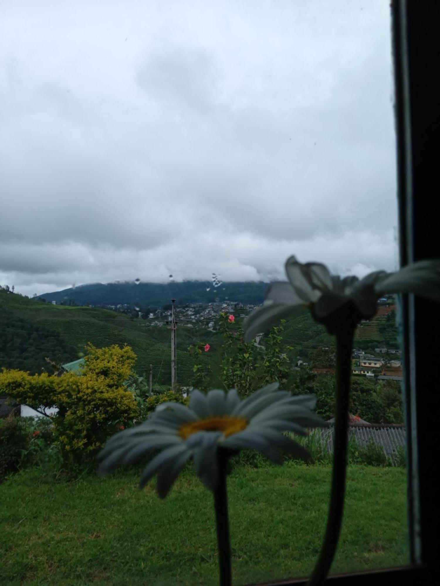Mount View Cottage نوفارا إيلِيا المظهر الخارجي الصورة